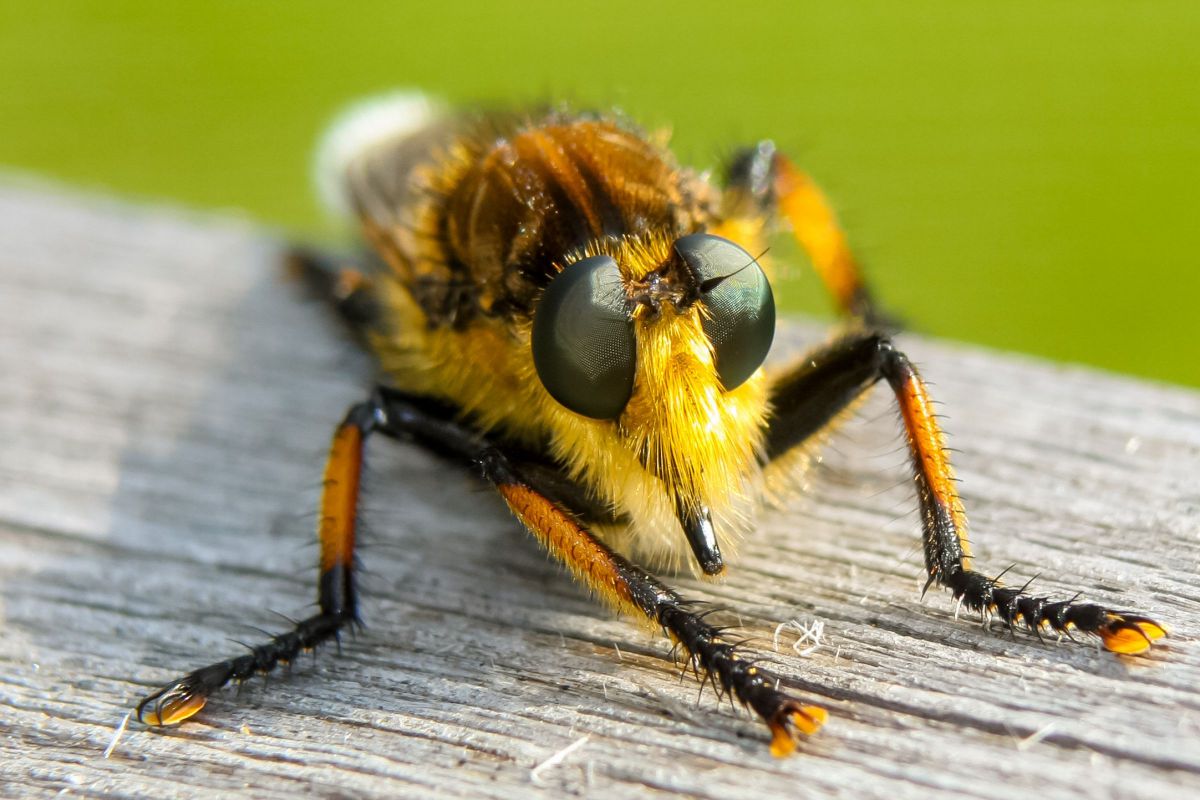 EF35-135mm F4-5.6 USMで撮影された写真 | 写真検索 | GANREF