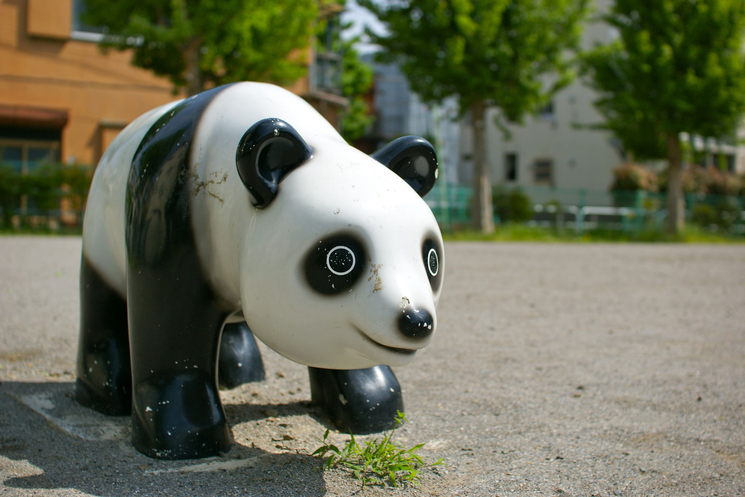ぱんだ公園 愛称は「パンダ公園」！かわいいパンダの遊具と健康器具がある旭