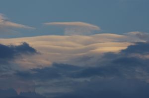 雲雲雲の下 これはうろこ雲…？