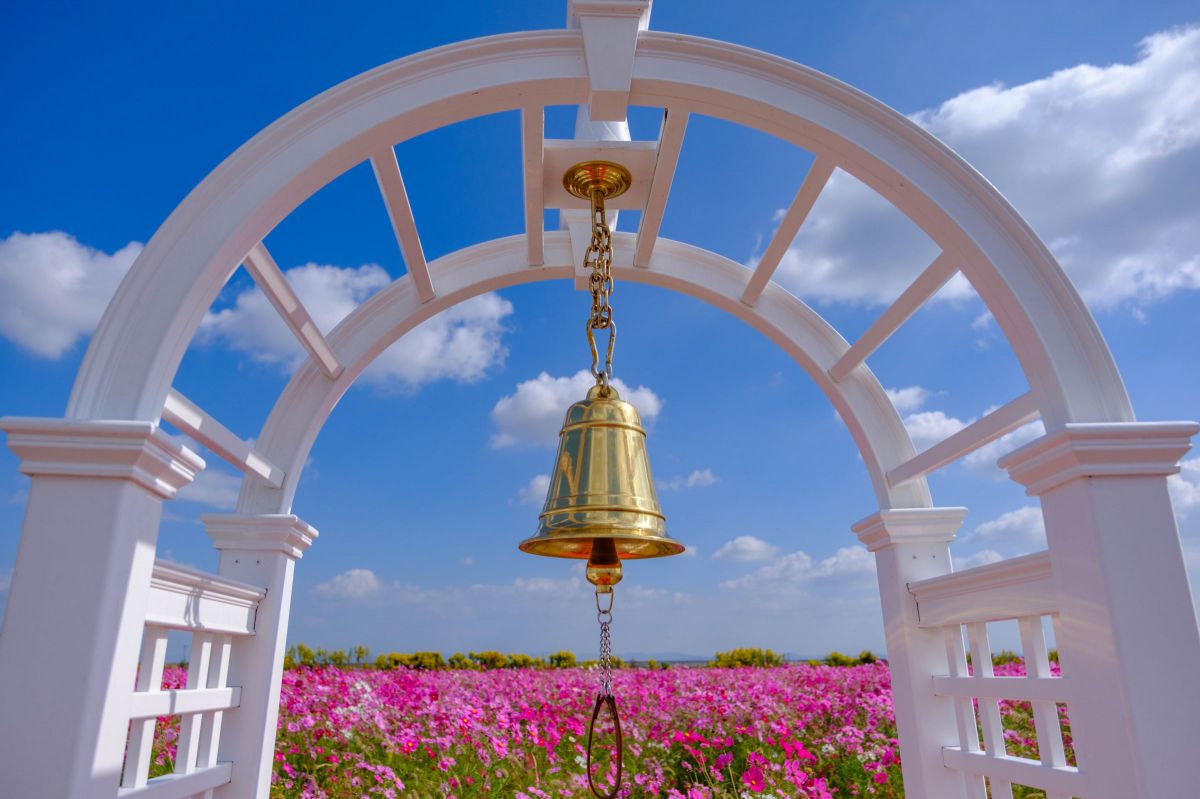 MDAwMDA0ODM3NQ_MC45ODEyNTcwMCA