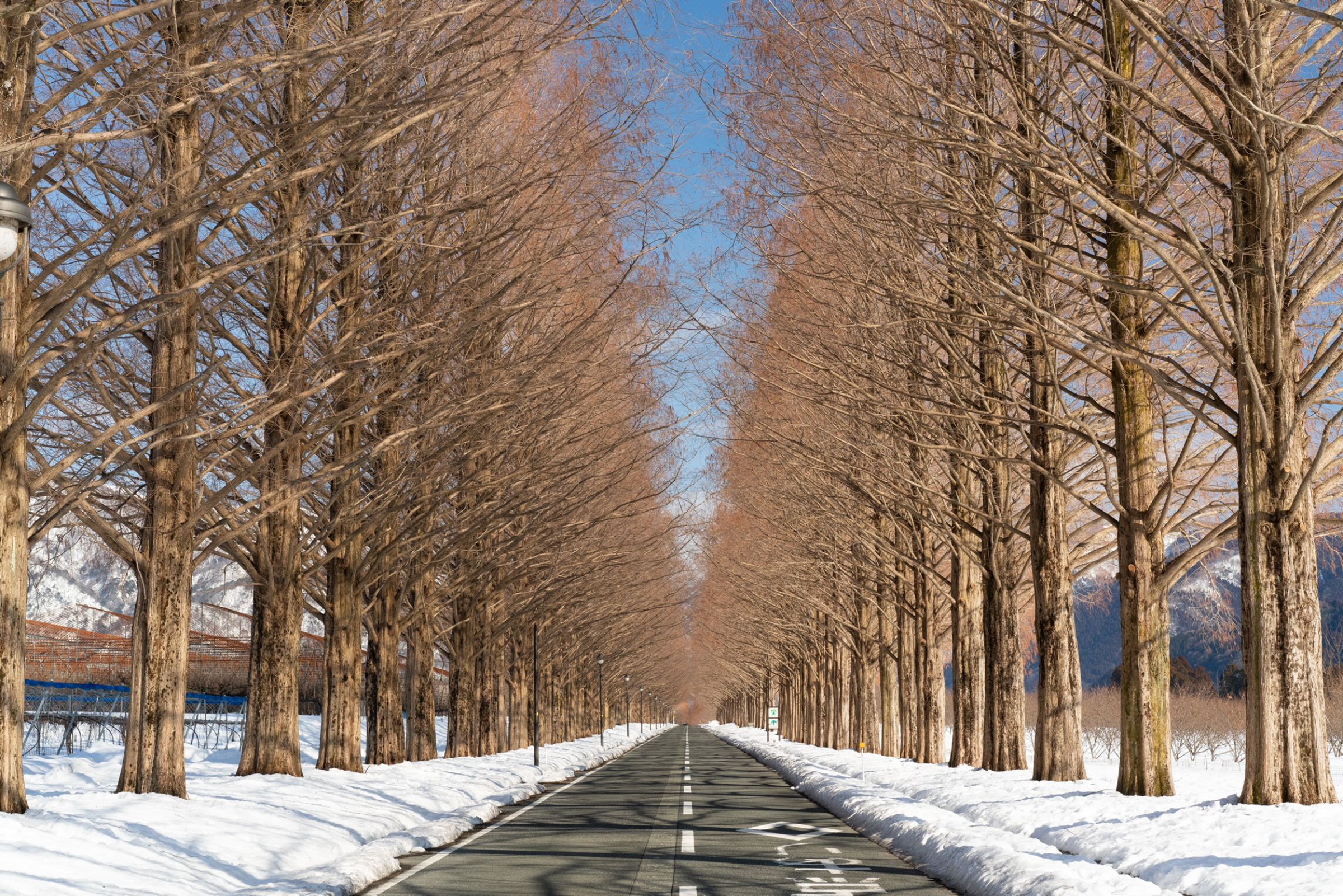 冬景色 冬の八ヶ岳 Yatsugatake in Winter - YouTube