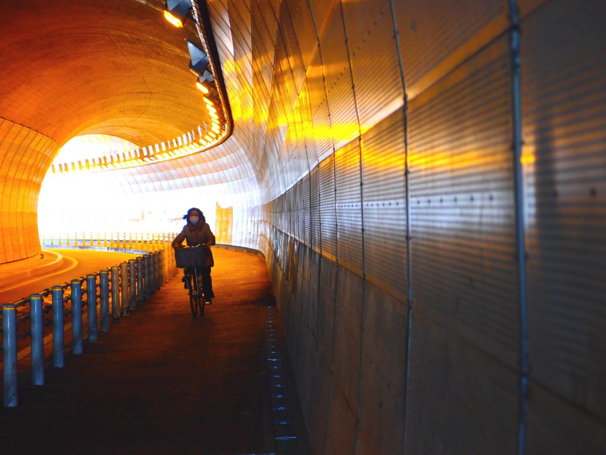 OLYMPUS XZ-1で撮影された写真 | 写真検索 | GANREF