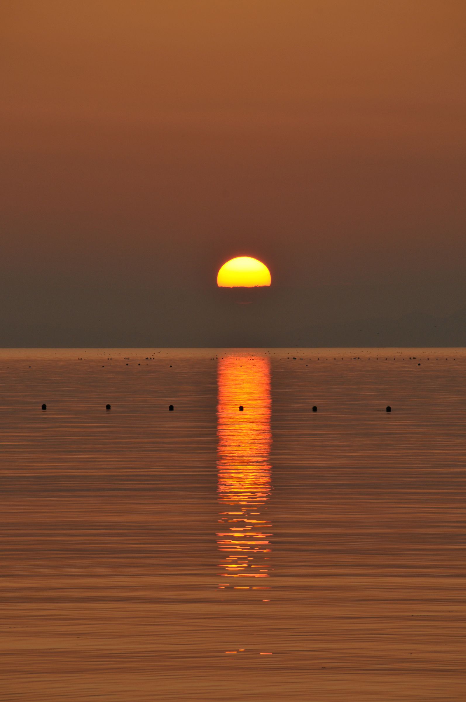 落日の刻 | GANREF