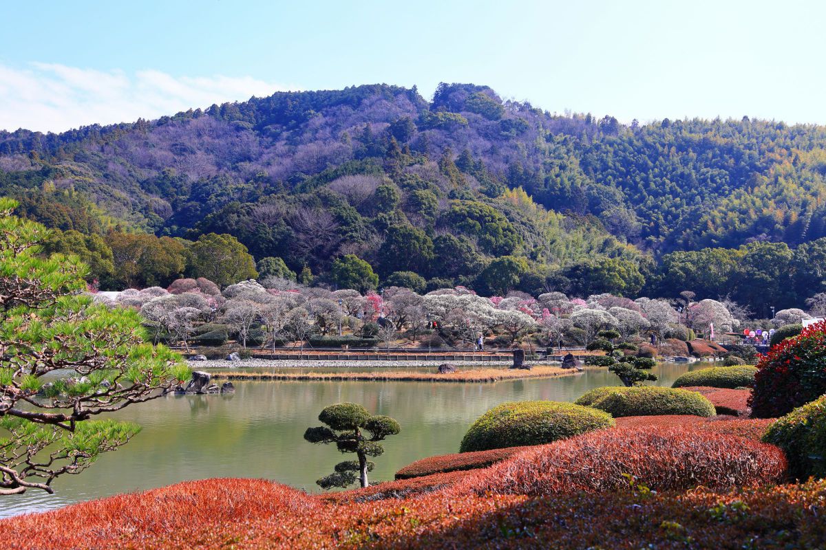 賑わいの梅園 | GANREF