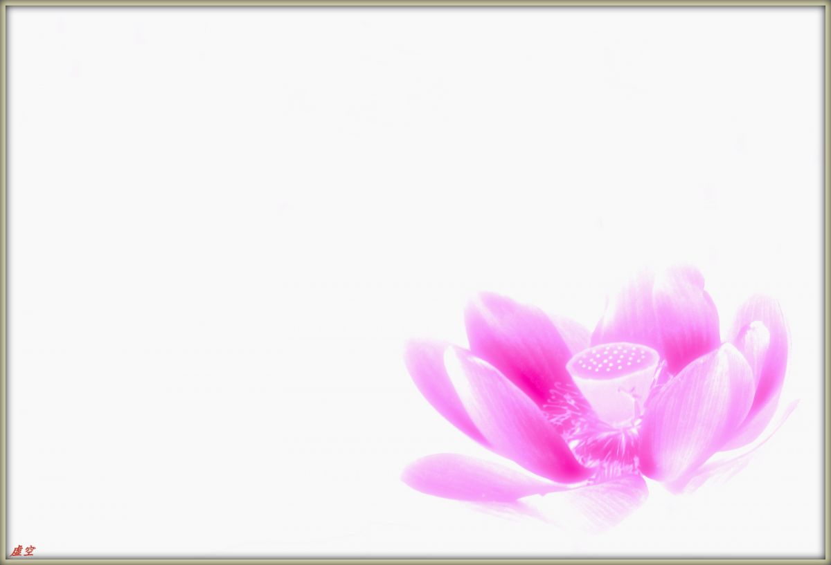 釈迦の座した花 植物 花 花びら Ganref