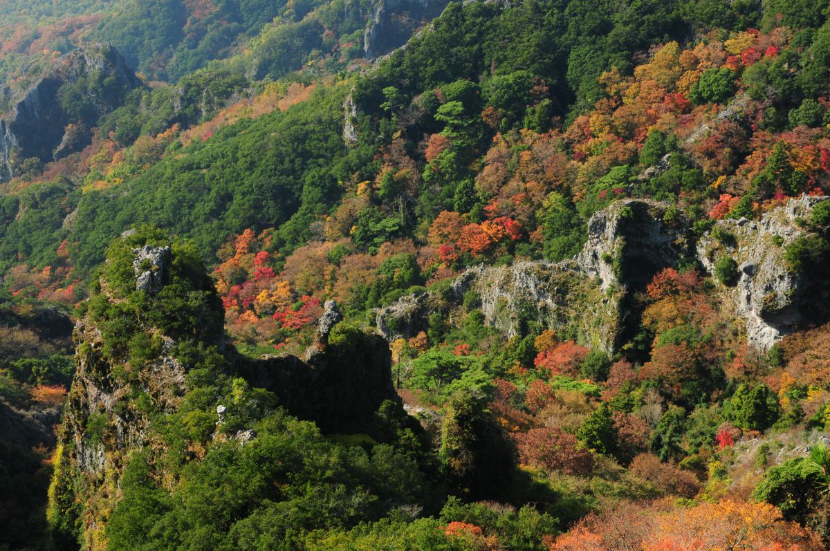 寒霞渓紅葉 自然 風景 山 Ganref