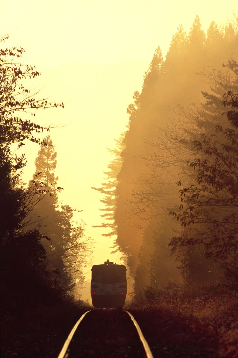 長根広和さんのポートフォリオ Ganref