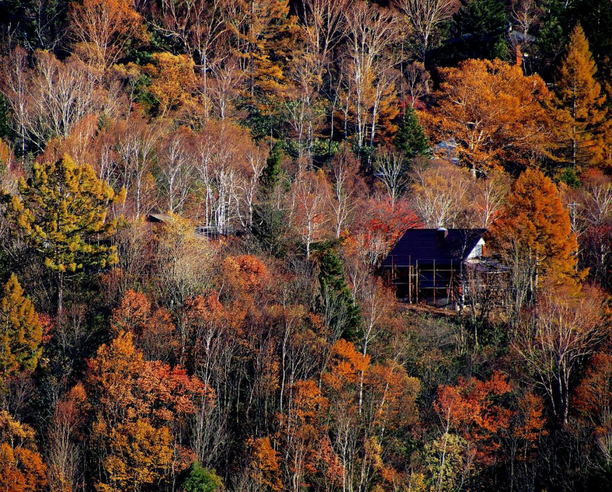 山の中小さな家 自然 風景 山 Ganref