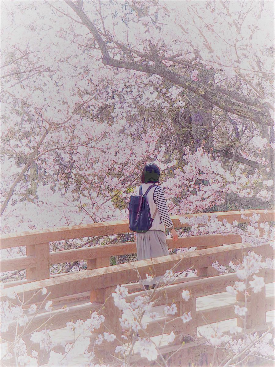 桜雲橋 自然 風景 その他 Ganref