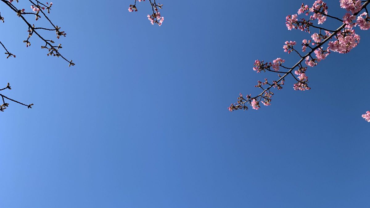 天色と空色のあいだ | GANREF