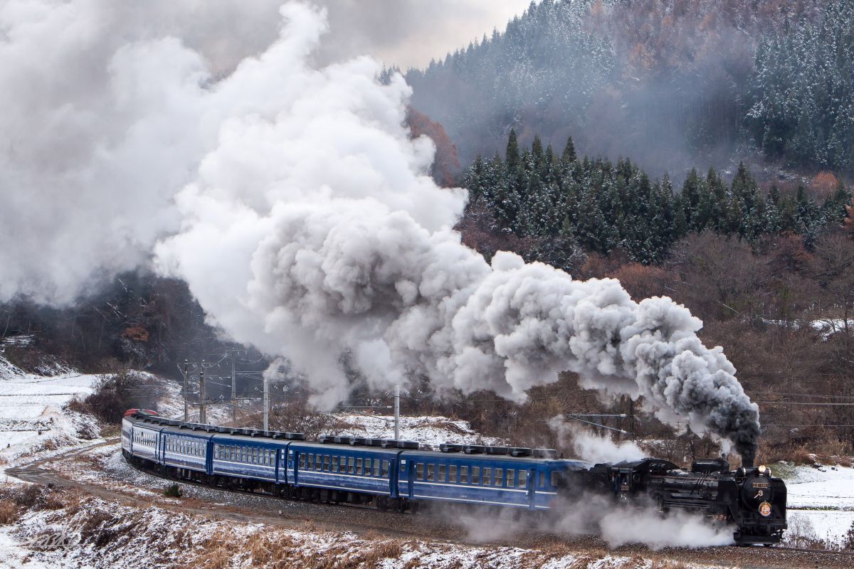 EF70-200mm F2.8L IS USMで撮影された写真 | 写真検索 | GANREF