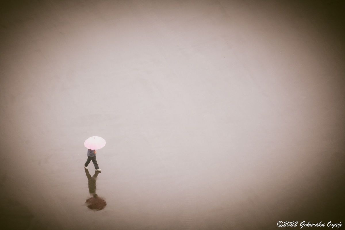 XF55-200mmF3.5-4.8 R LM OISで撮影された写真 | 写真検索 | GANREF