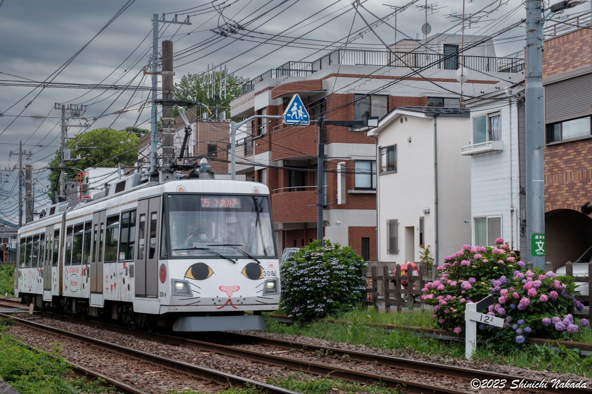 18-50mm F2.8 DC DN | Contemporaryで撮影された写真 | 写真検索 | GANREF