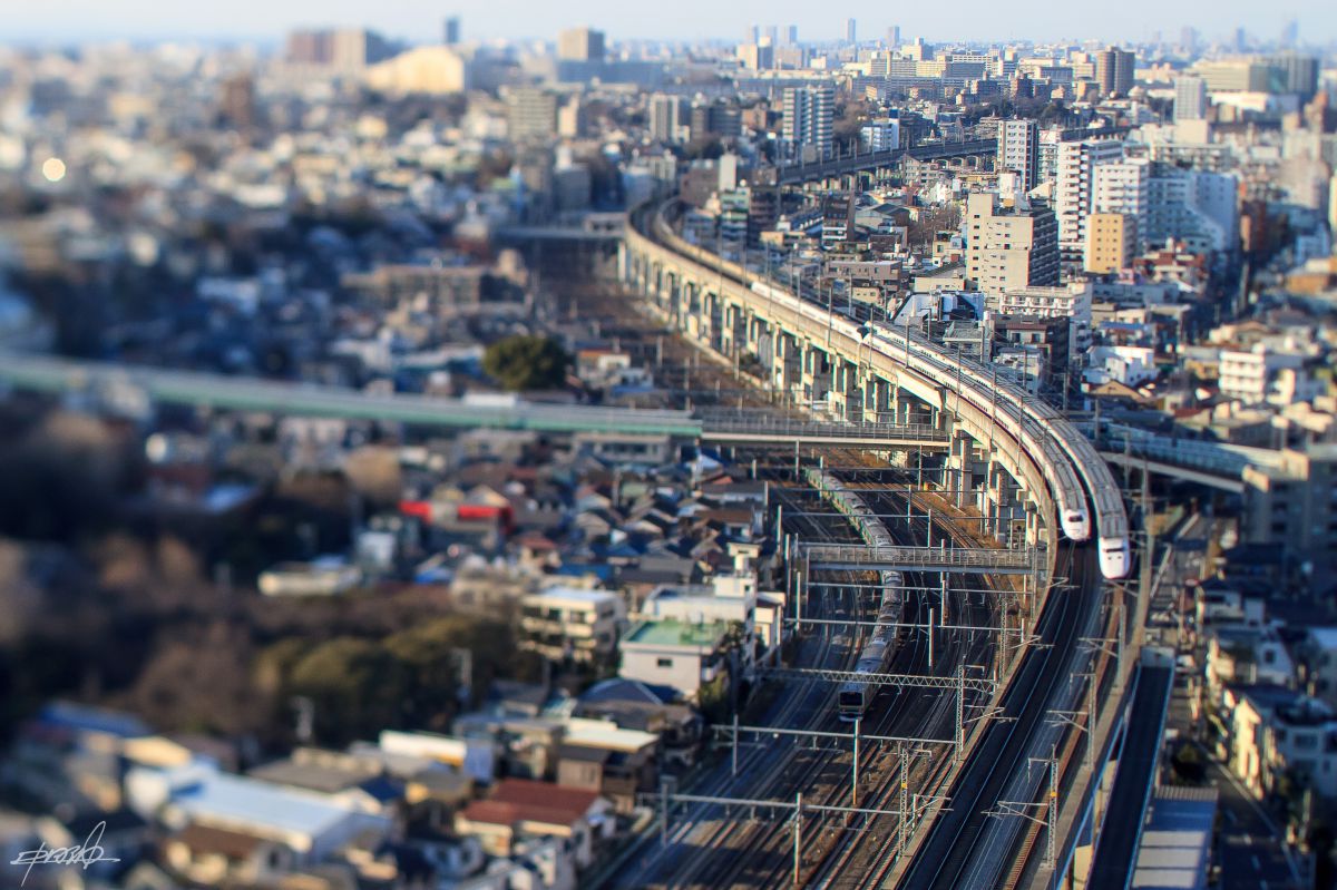 TS-E45mm F2.8で撮影された写真 | 写真検索 | GANREF