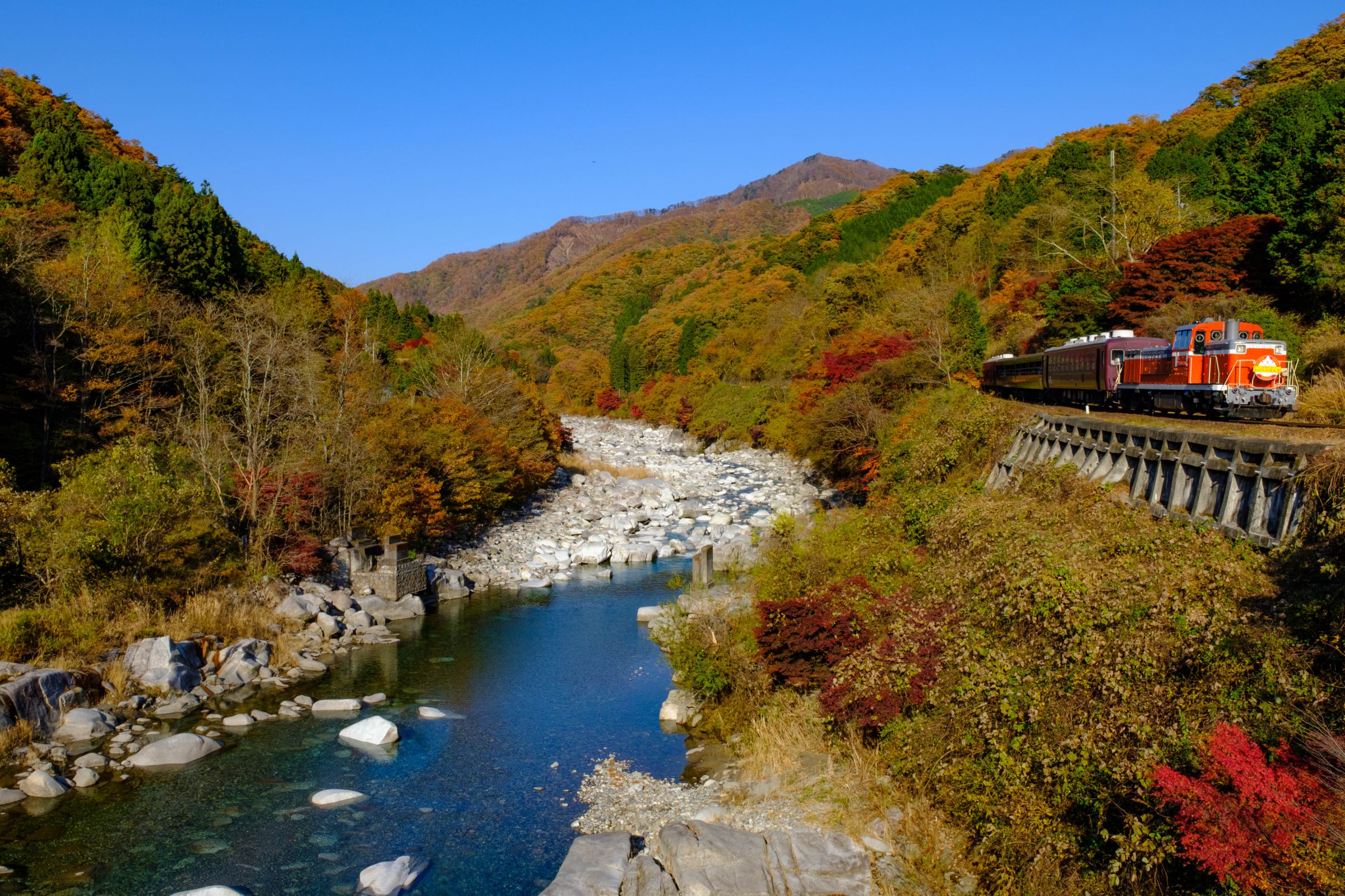 渡良瀬川とわたらせ渓谷鉄道の紅葉 | GANREF