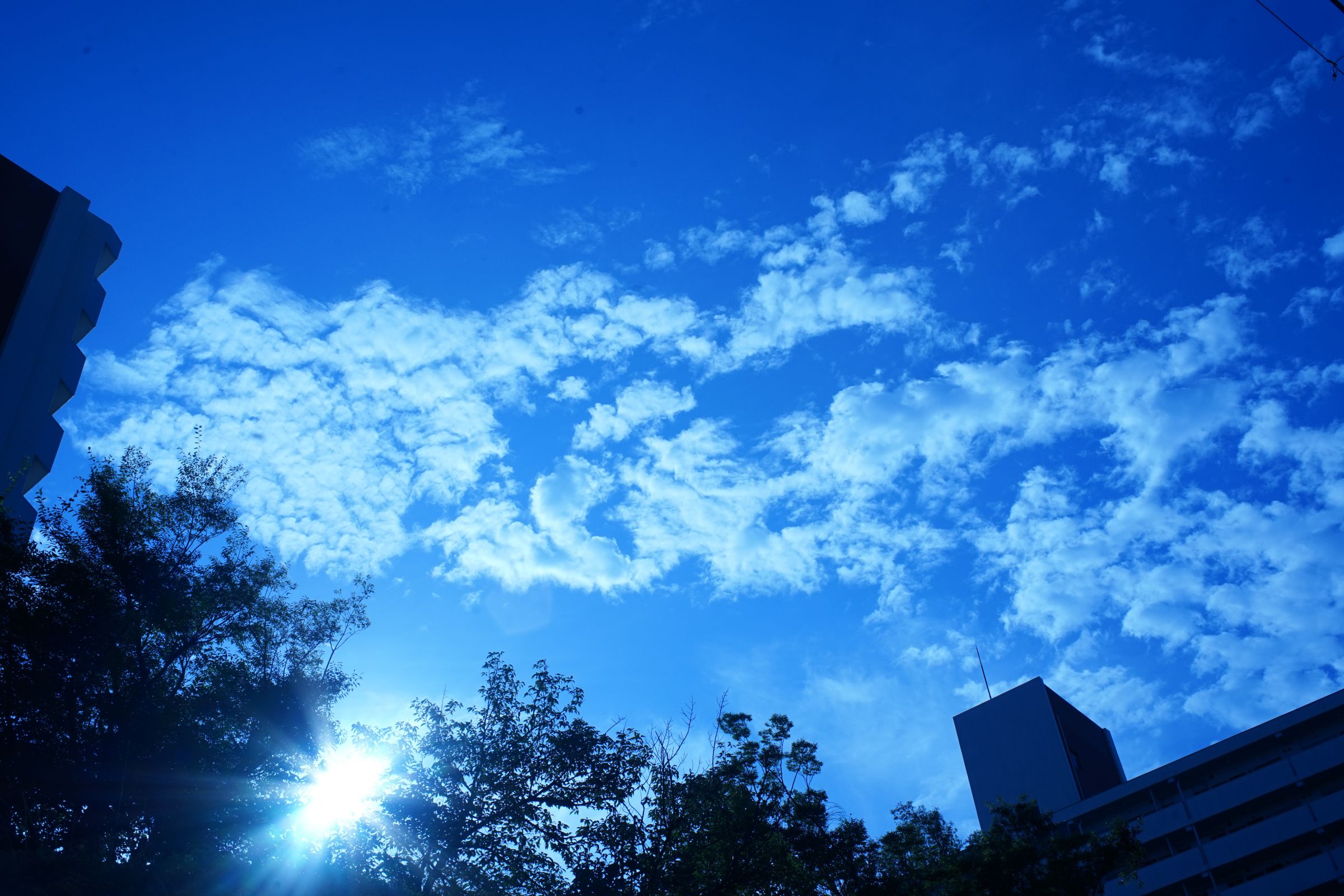 碧空 | GANREF