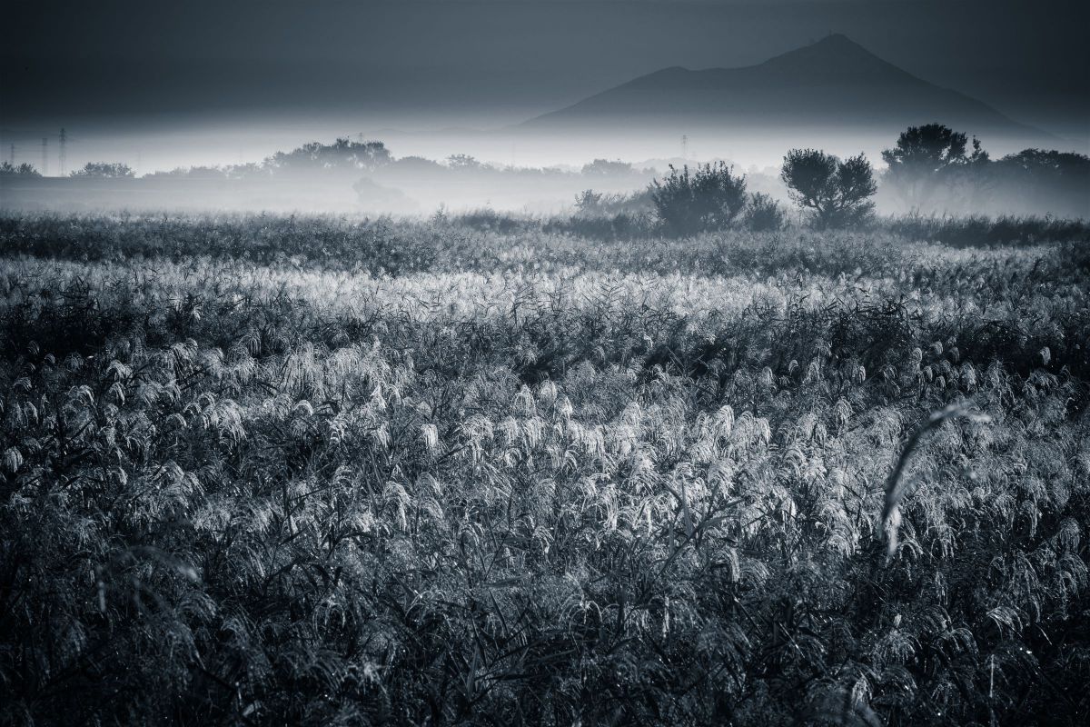 XF55-200mmF3.5-4.8 R LM OISで撮影された写真 | 写真検索 | GANREF