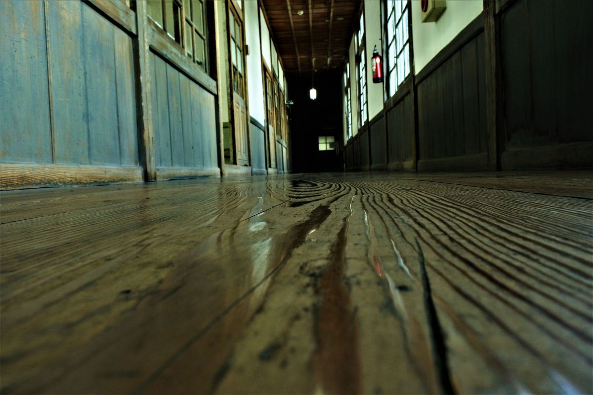 1 NIKKOR VR 10-30mm f/3.5-5.6で撮影された写真 | 写真検索 | GANREF