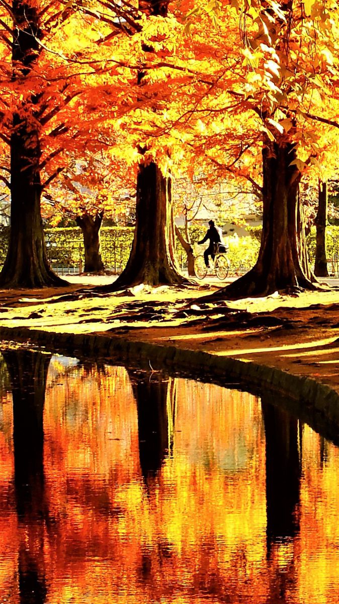 FinePix HS30EXRで撮影された写真 | 写真検索 | GANREF