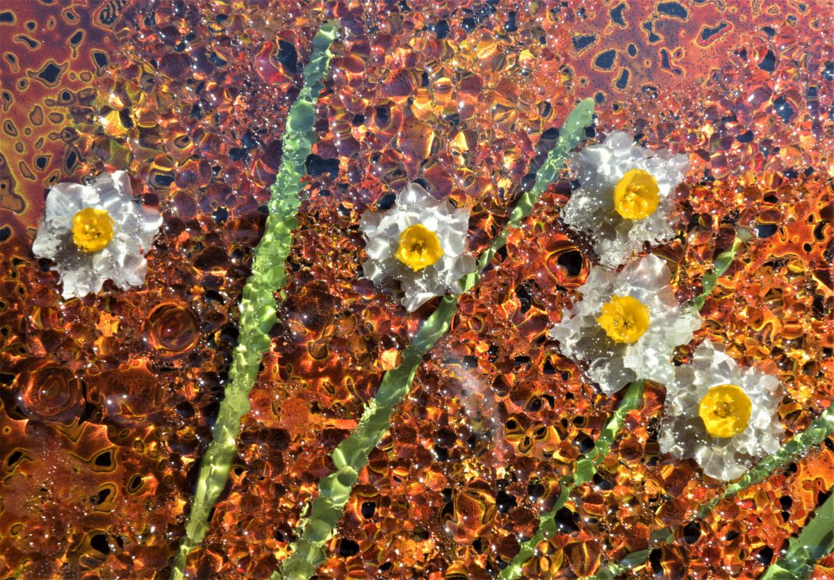 AF-S DX Zoom-Nikkor 18-70mm f/3.5-4.5G IF-EDで撮影された写真