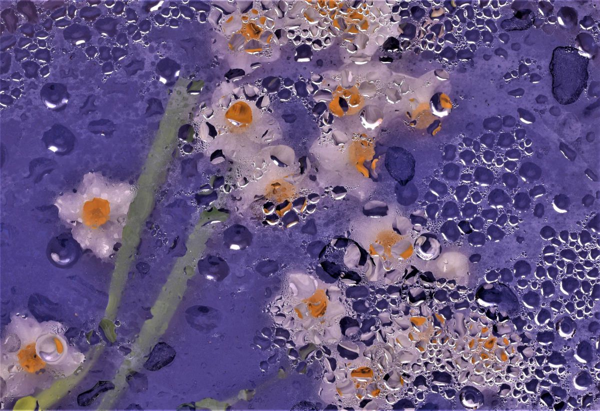 lifetime (生涯） GANREF