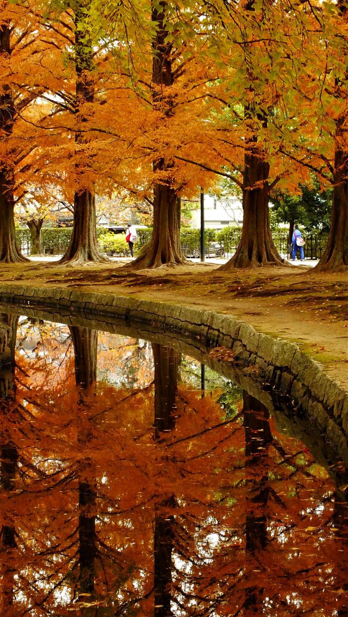 FinePix HS30EXRで撮影された写真 | 写真検索 | GANREF