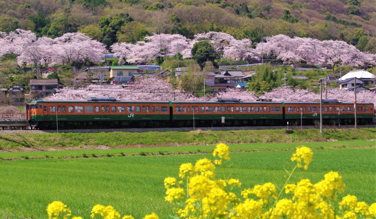 FA☆28-70mmF2.8ALで撮影された写真 | 写真検索 | GANREF