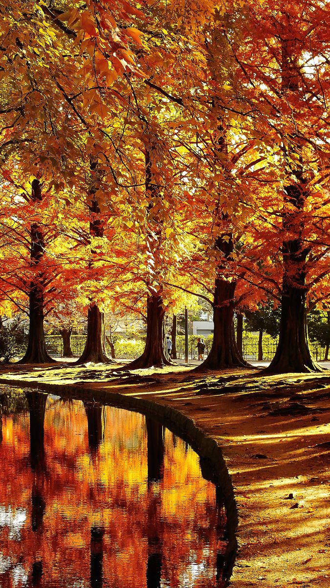 FinePix HS30EXRで撮影された写真 | 写真検索 | GANREF