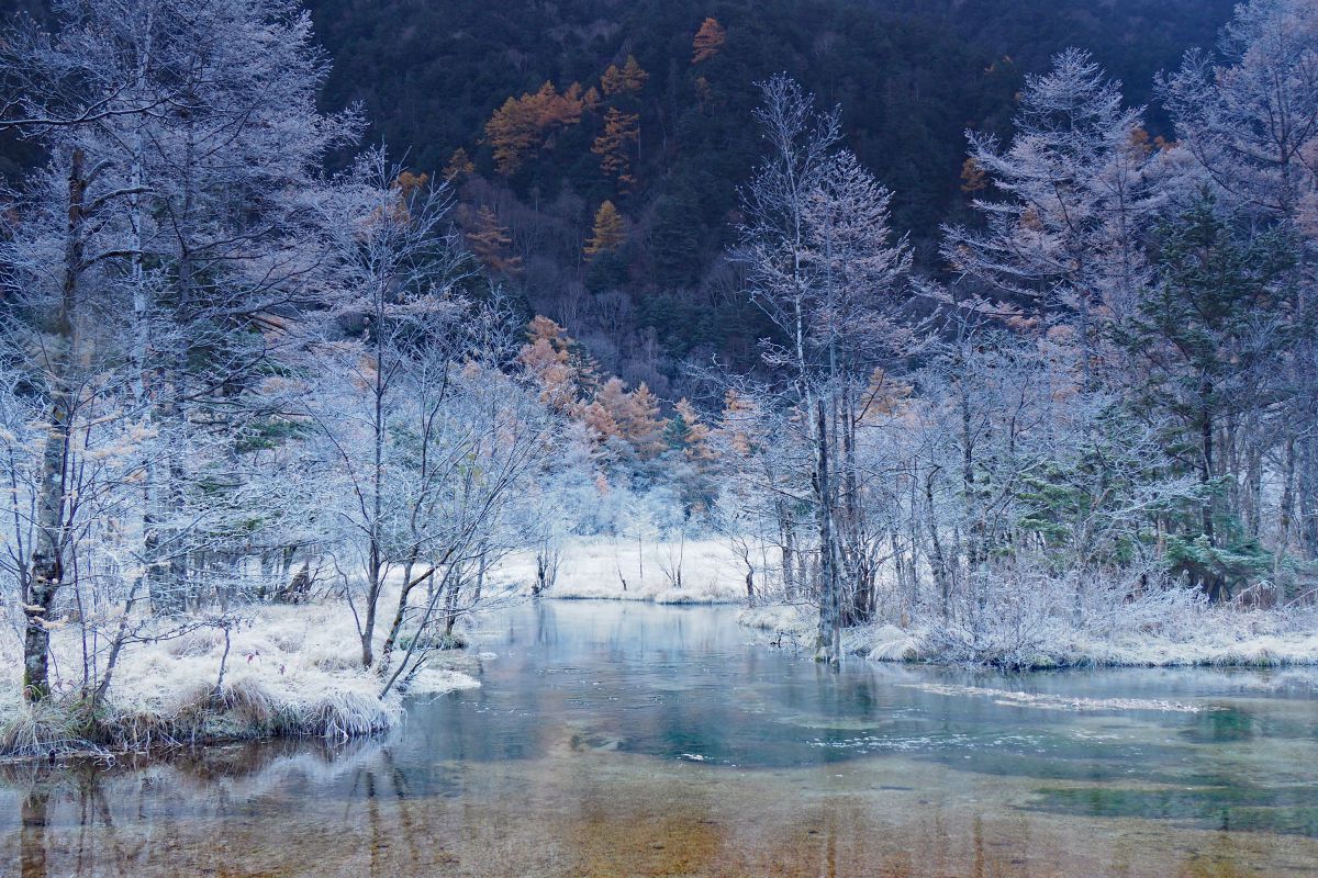 霜の田代池 | GANREF