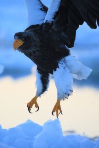 f747d8583920f232323150a572433c