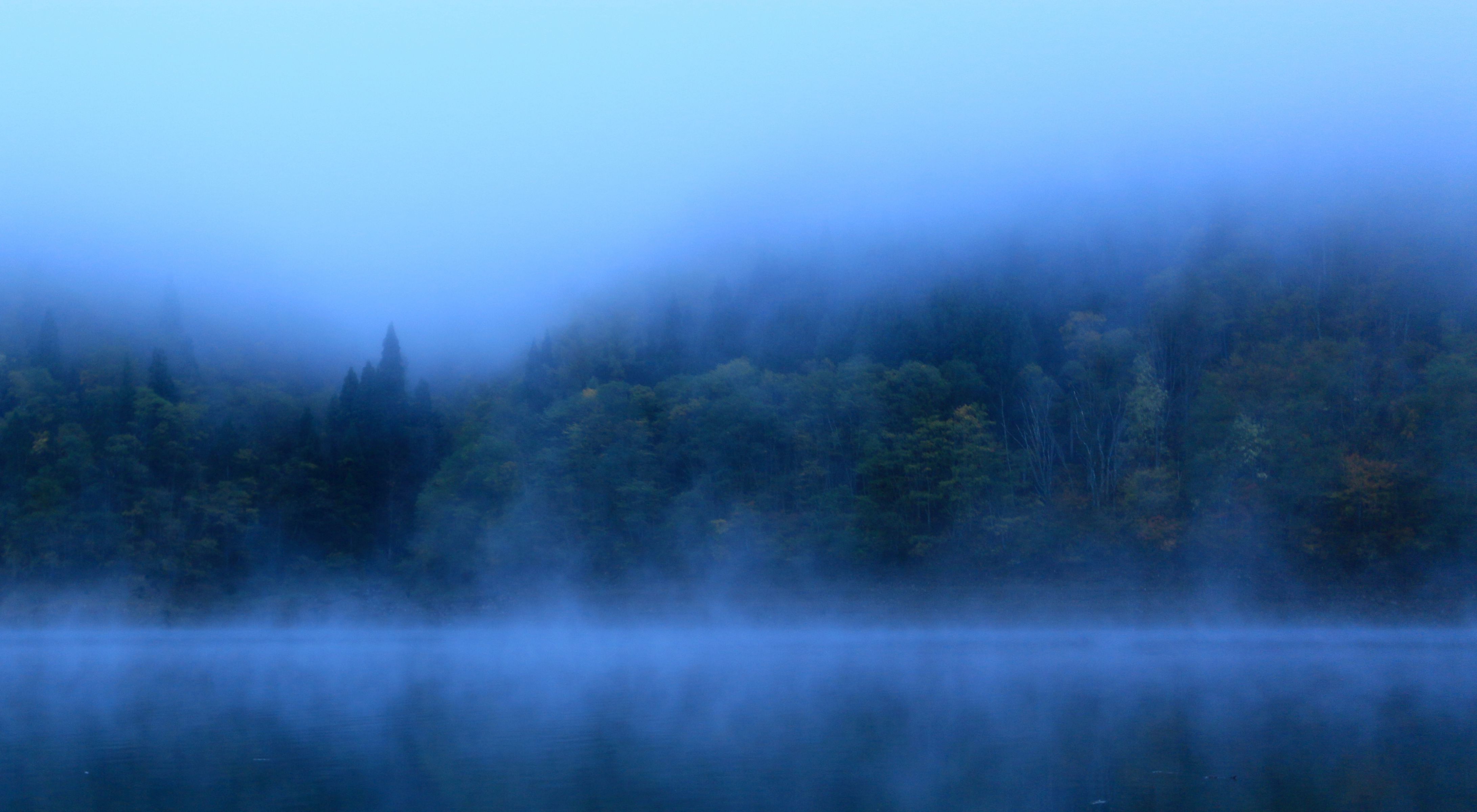 静寂の森 | GANREF