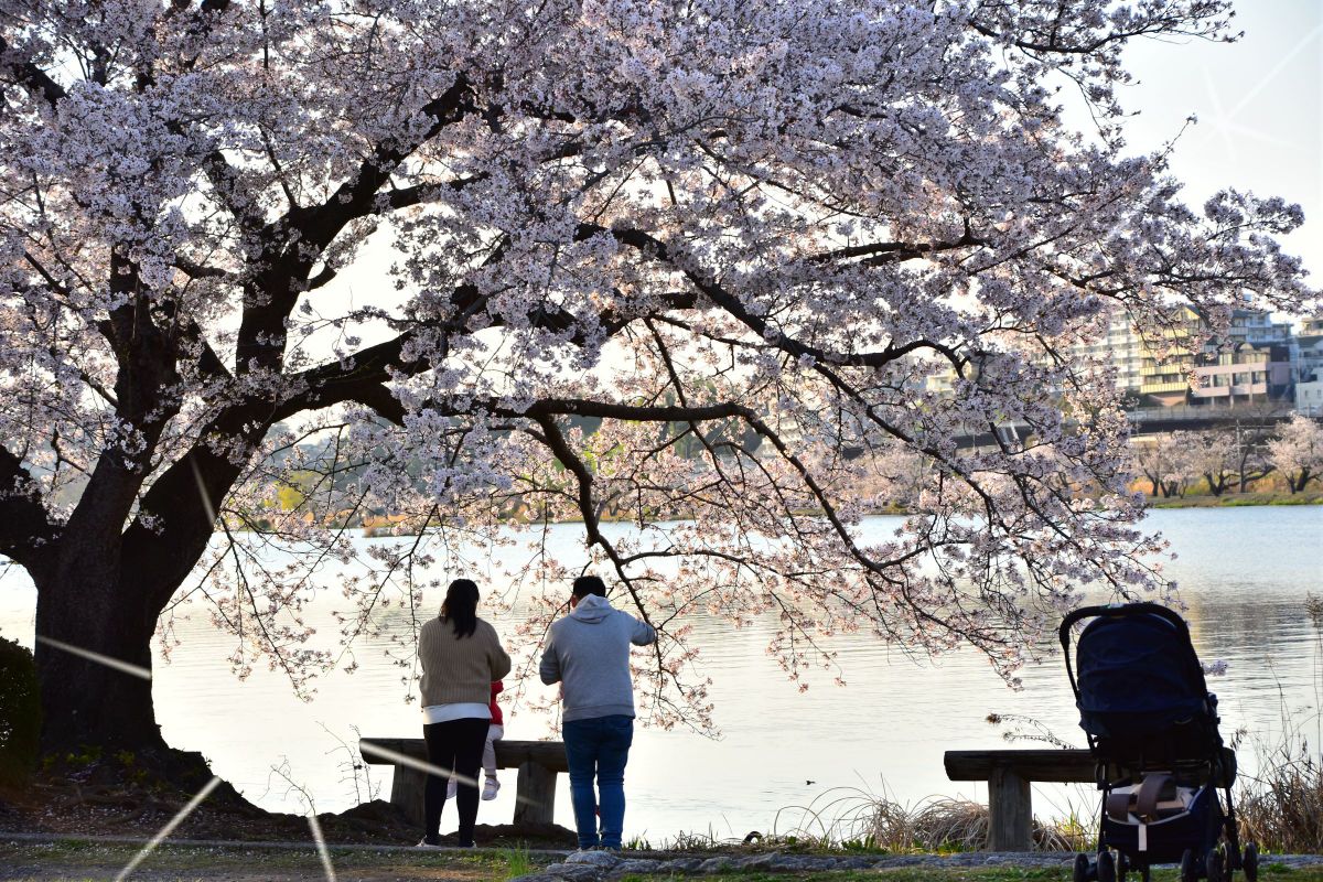 D7200で撮影された写真 | 写真検索 | GANREF