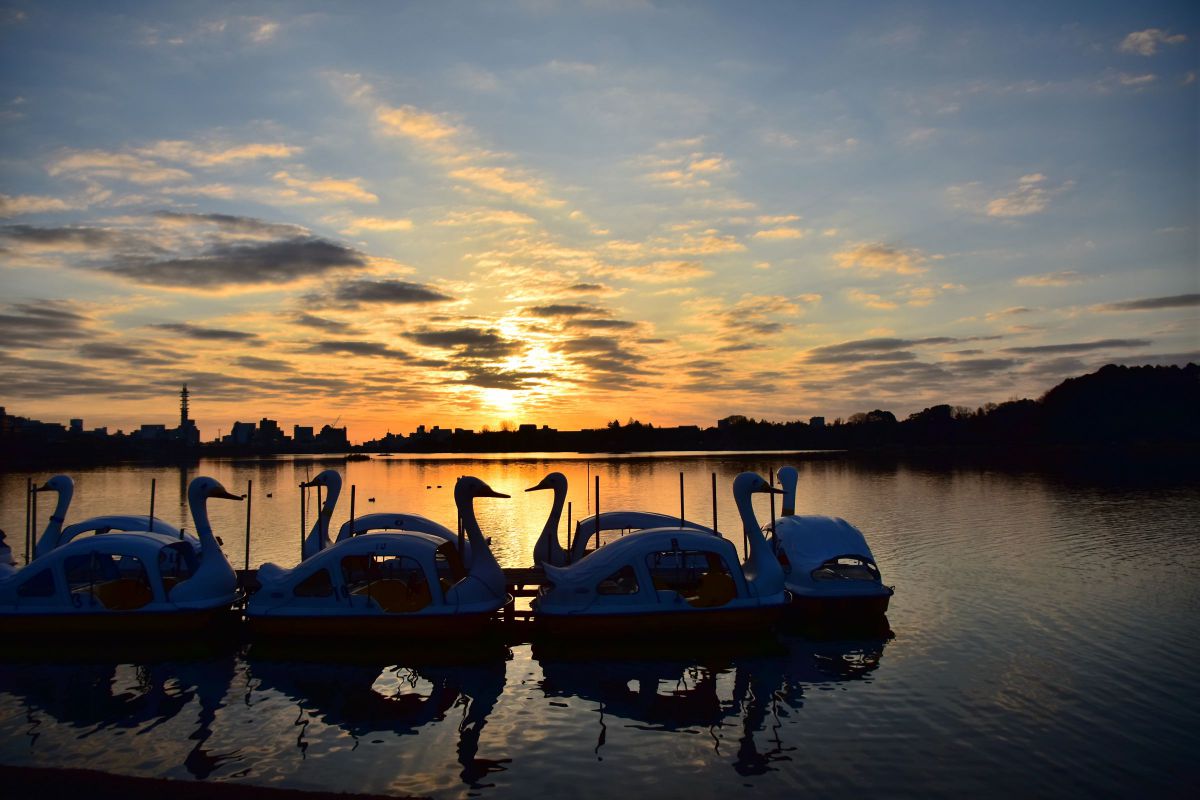 D7200で撮影された写真 | 写真検索 | GANREF