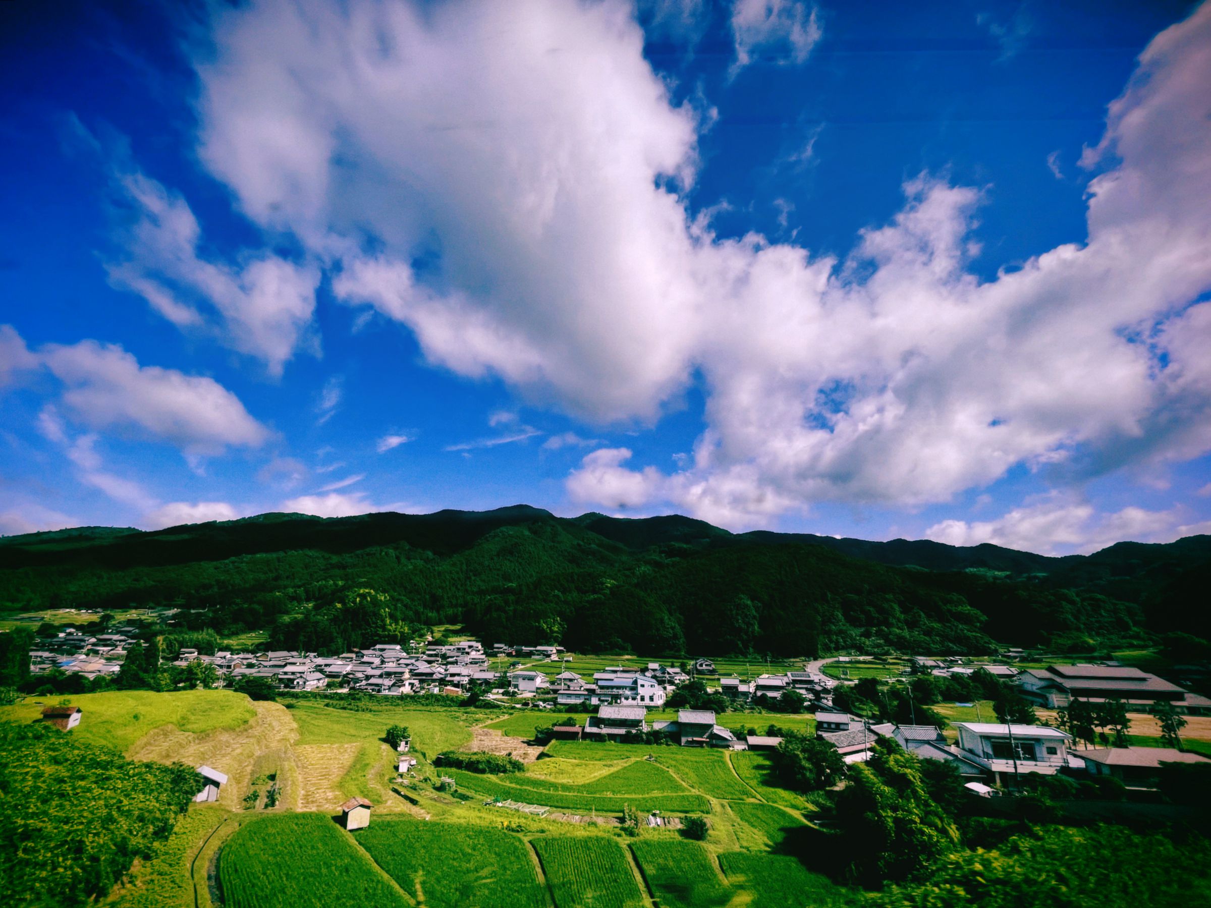 風景 車窓から見た真夏の田園風景 | GANREF