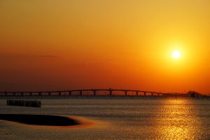 馬と古城夕陽が沈む雰囲気が出た作品です。 海中電柱が並ぶ「江川海岸」の幻想的なマジックアワー│おでかけ部