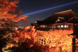 MDAwMDA1OTkwMQ_MC45MjkzMTkwMCA