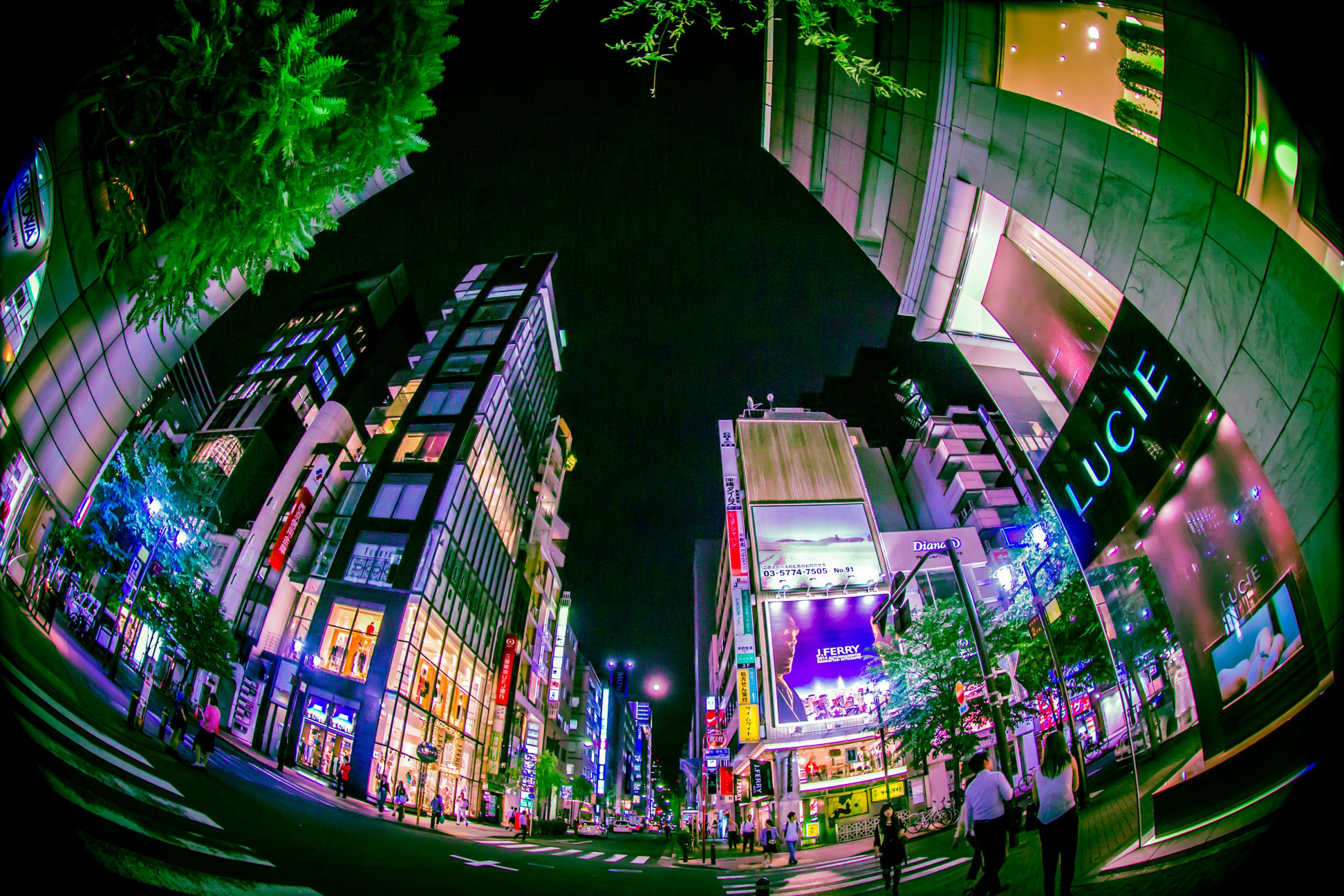 夏夜銀座散歩 | GANREF