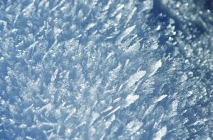 雪華 ZINE「雪華する擬態地図」 ZINE・小冊子 Tomoyuki Koseko 通販