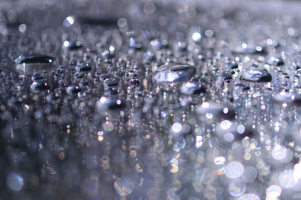 HD PENTAX-DA 35mmF2.8 Macro Limitedで撮影された写真 | 写真検索