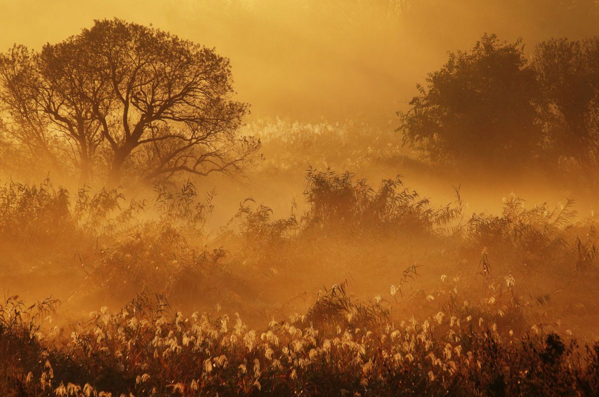HD PENTAX-DA 55-300mmF4.5-6.3ED PLM WR REで撮影された写真 | 写真 