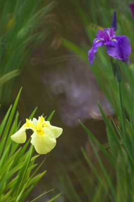 石井 孝親さんの写真一覧 Ganref