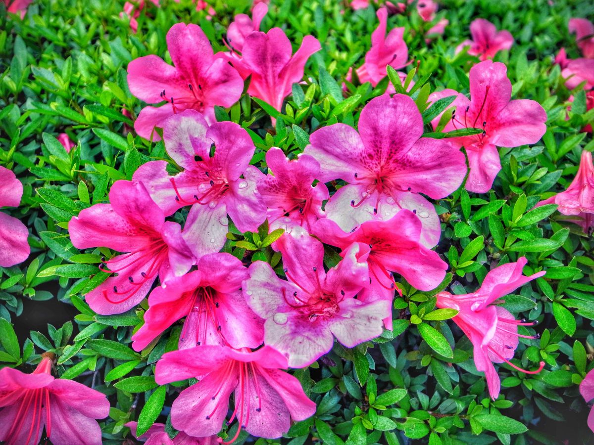GR DIGITAL IIIで撮影された写真 | 写真検索 | GANREF