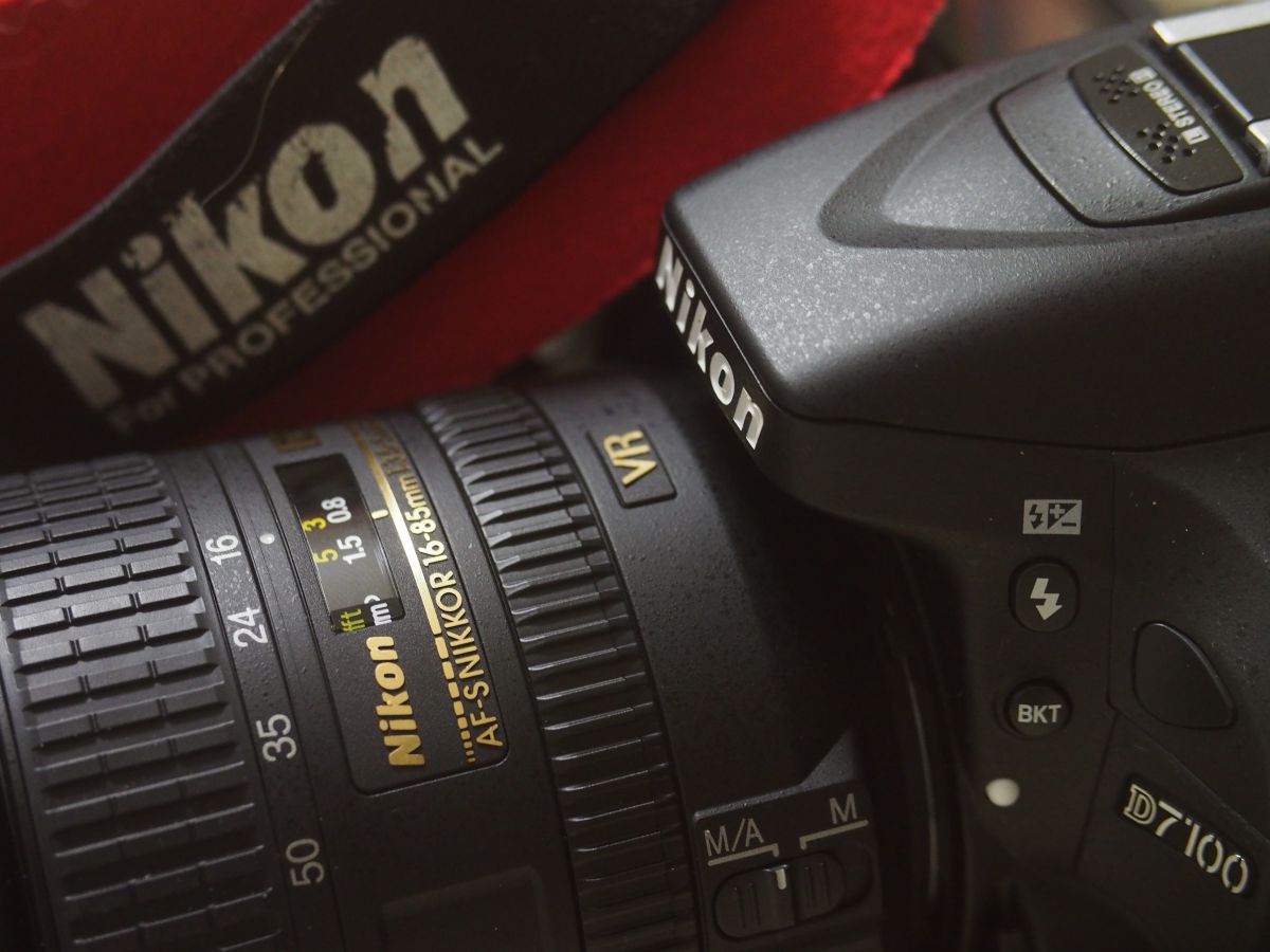 D7100レビュー ～散歩カメラとしての資質、寄り道編～ | GANREF