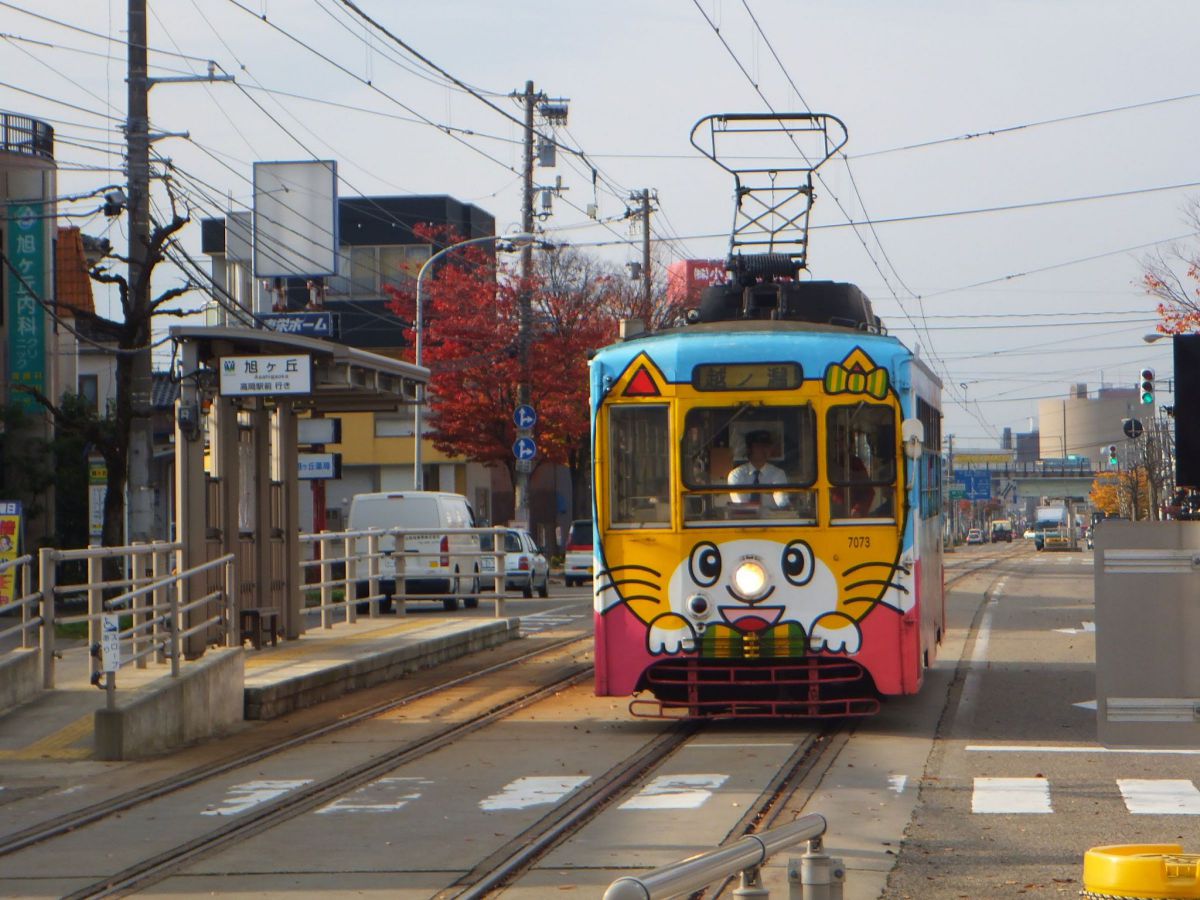 FinePix Z1000EXRで撮影された写真 | 写真検索 | GANREF