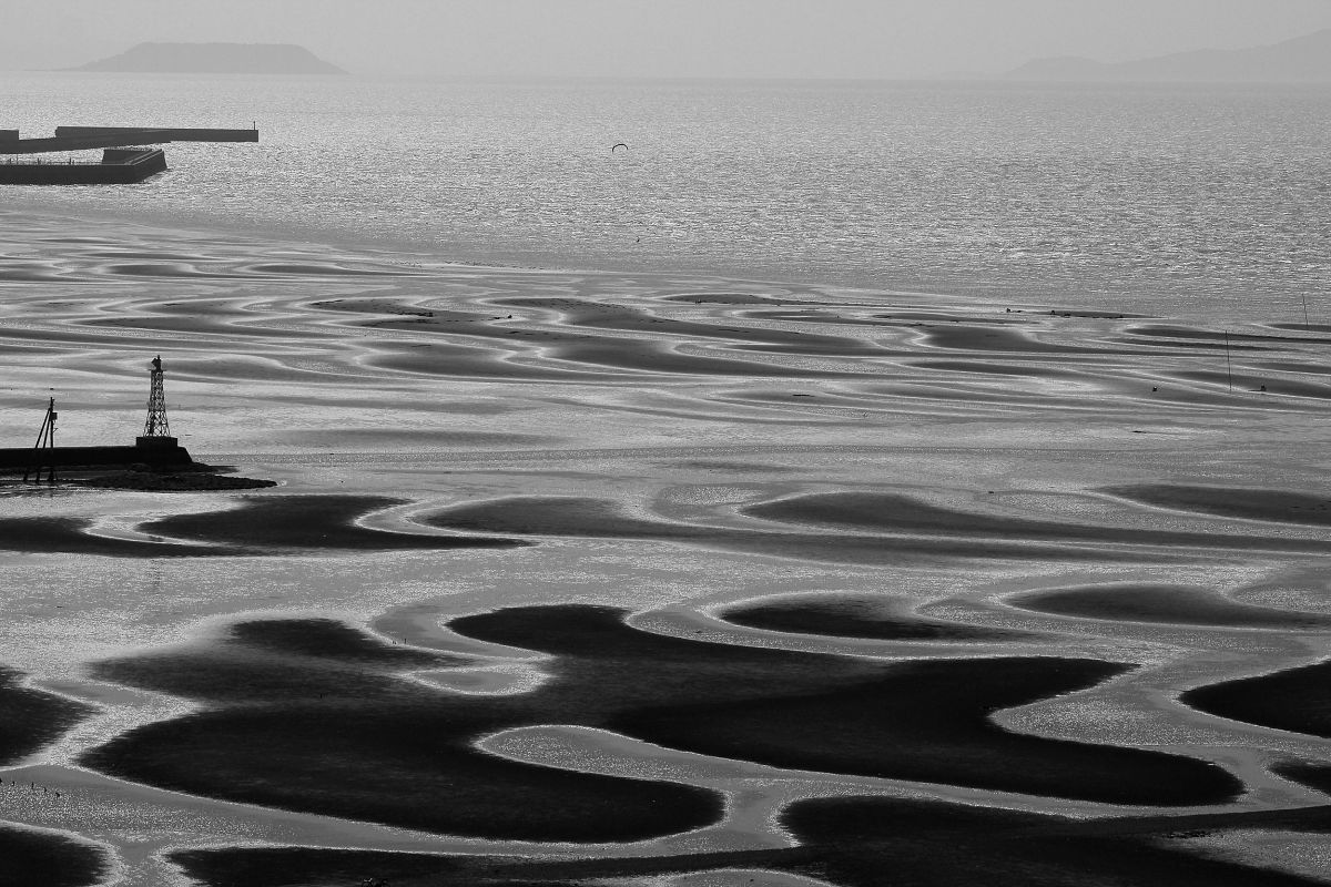 干潟模様 自然 風景 海 Ganref