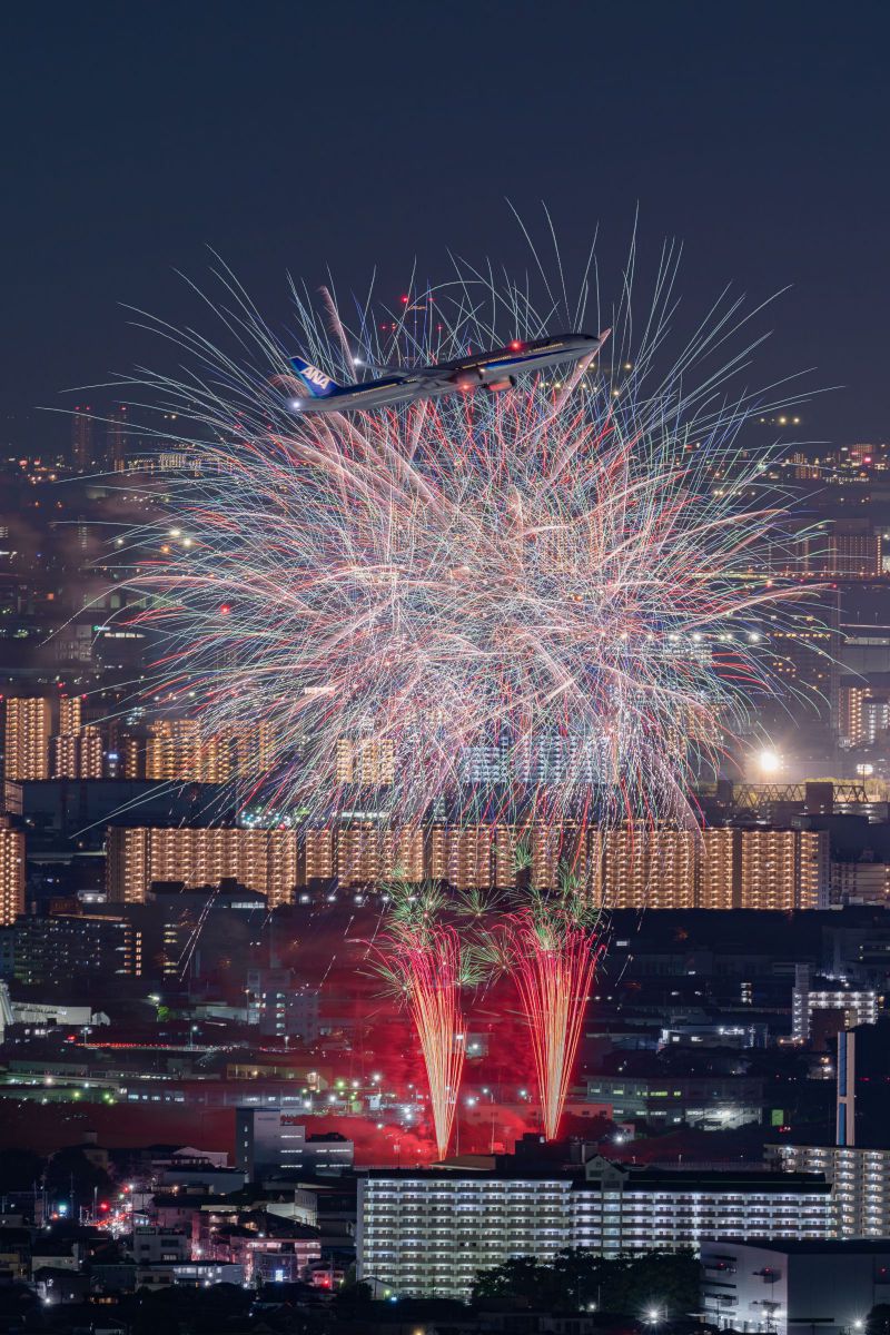 ニコンZ6Ⅲ］レビュー15「いたみ花火大会撮影ガイド」 | GANREF