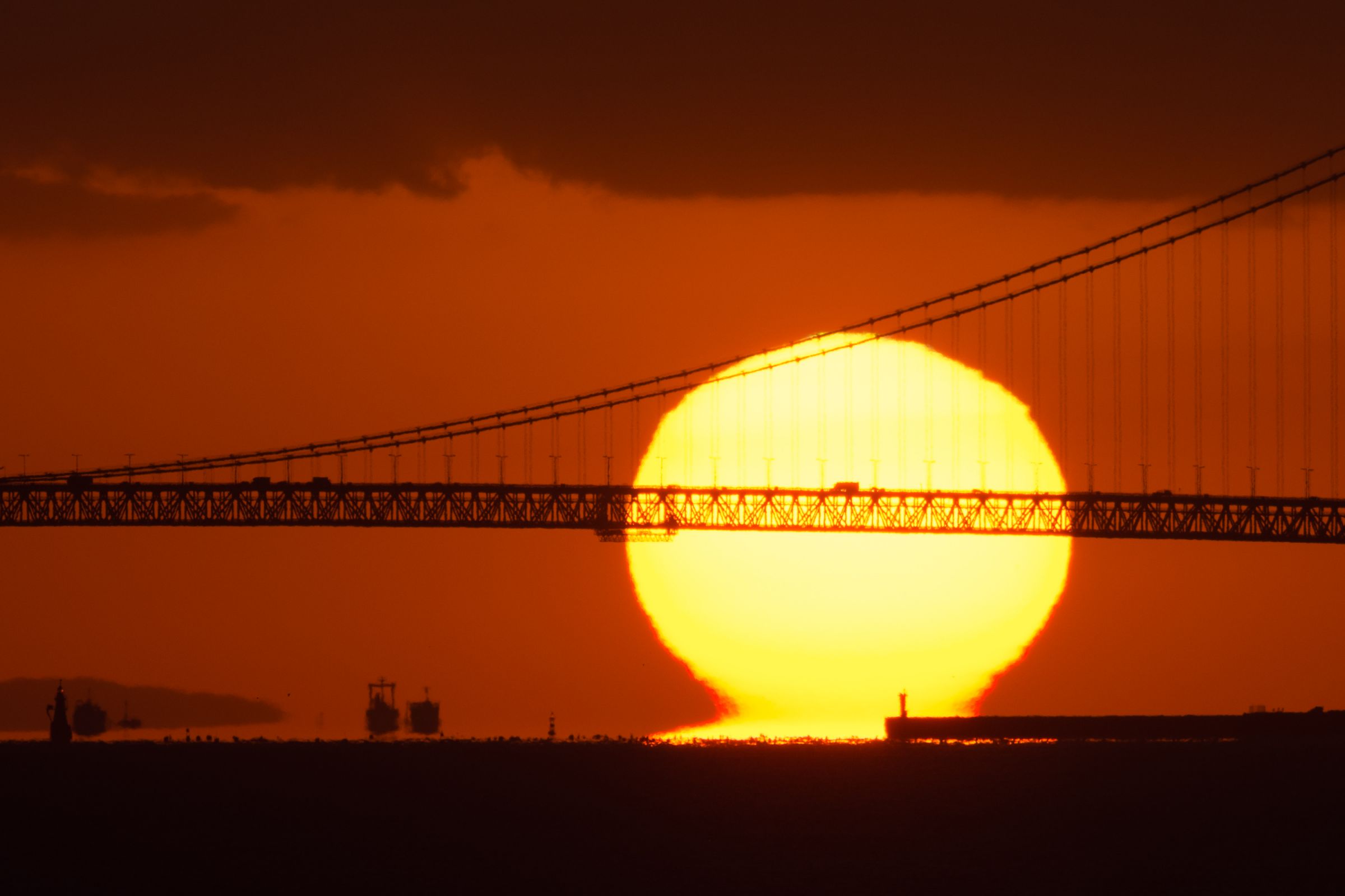 太陽にほえろ | GANREF