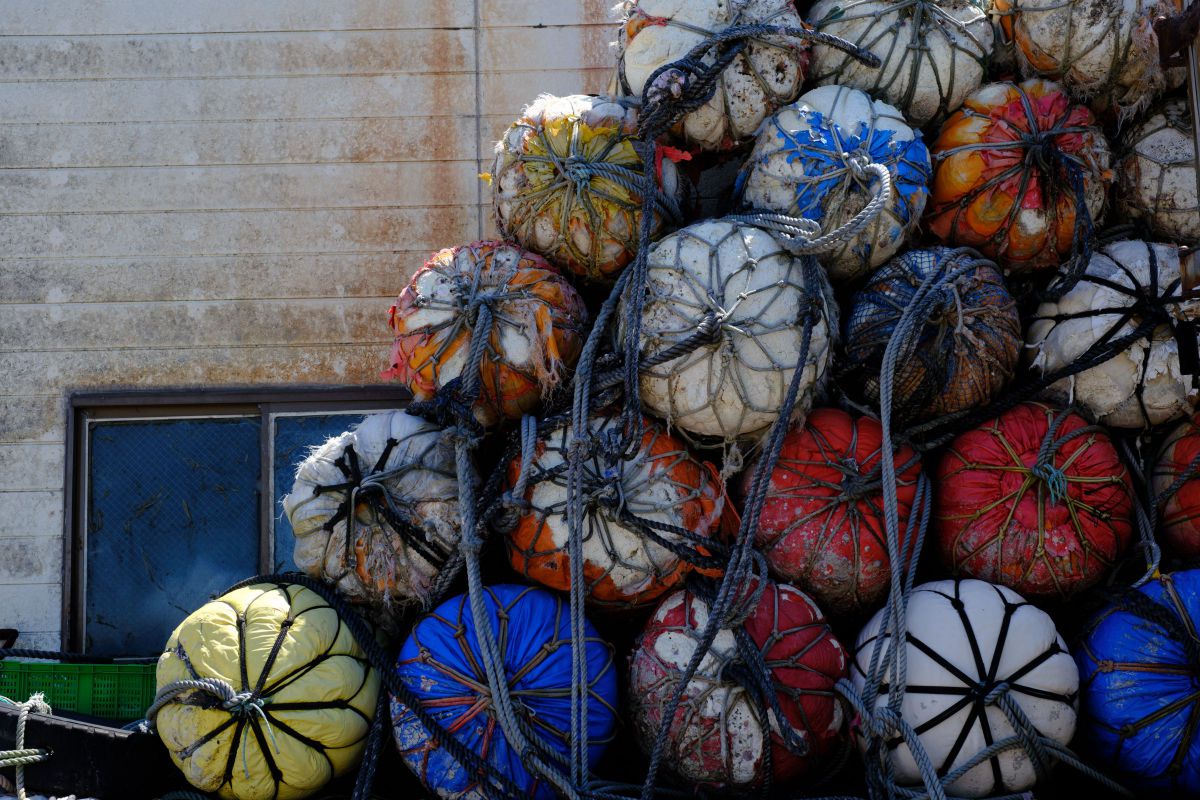 トライアングル GANREF