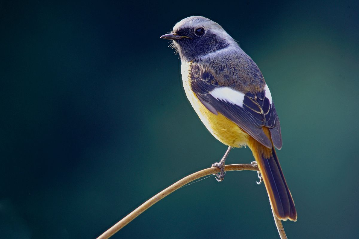 SP AF200-500mm F/5-6.3 Di LD ［IF］で撮影された写真 | 写真検索