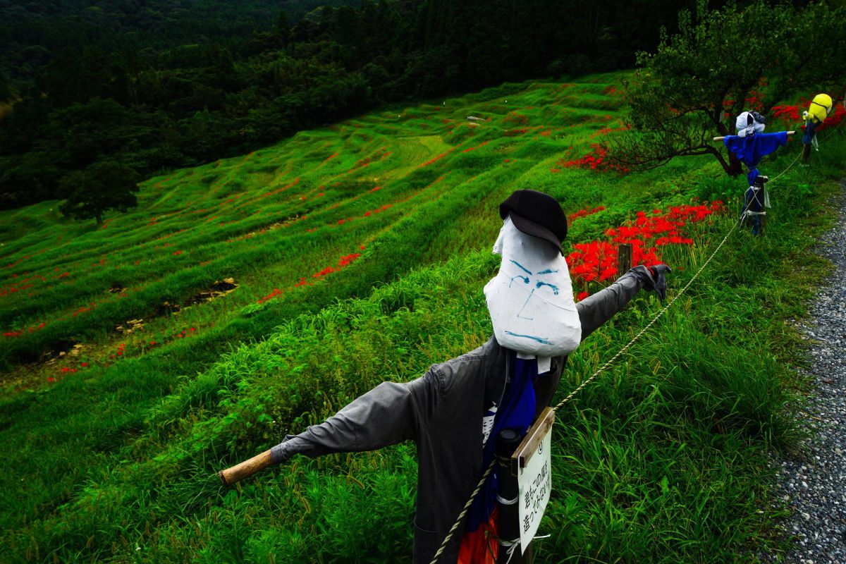 撮っちゃダメ 自然 風景 山 Ganref 撮っちゃダメ 自然 風景 山 Ganref